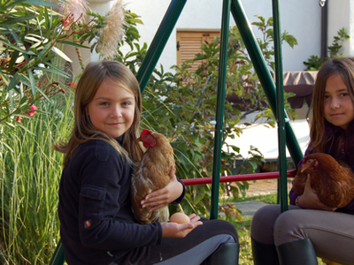 Bild 10 aus  Heideggerhof