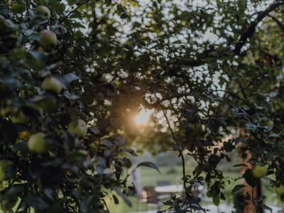 Bild 22 aus  Aicherhof