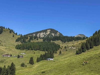 Bild 39 aus  Raineralm