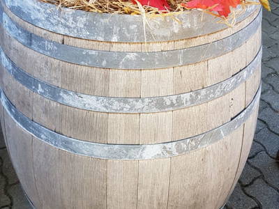 Bild 35 aus  Urlaub beim Winzer - Fam. Wissmann