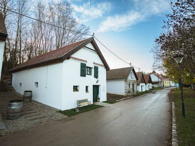 Bild 187 aus  Winzerhof Küssler, Weinviertel