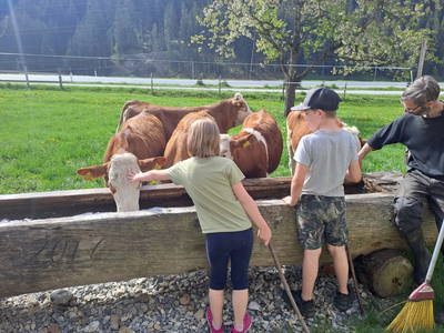 Bild 104 aus Vierthalerhof