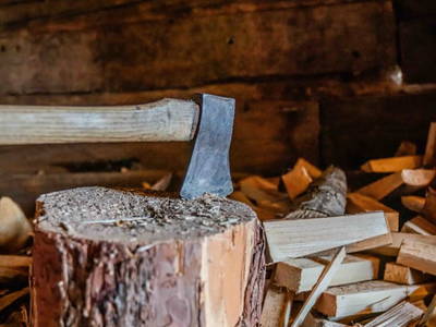 Bild 49 aus  Bachbauernhütte