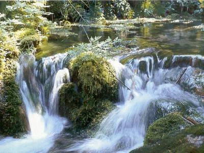 Bild 68 aus  Pöllauerhof