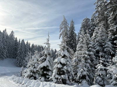 Bild 169 aus  Untersüssgut