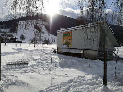 Bild 55 aus  Jagglhof