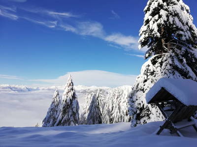 Bild 55 aus  Bacherhof