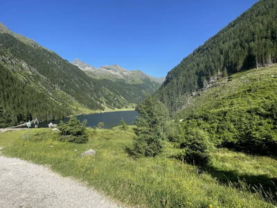 Bild 159 aus  Heisshof 