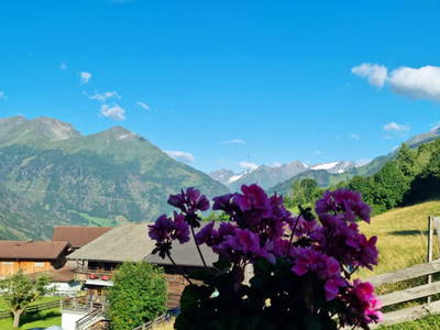 Bild 85 aus  Mortnerhof