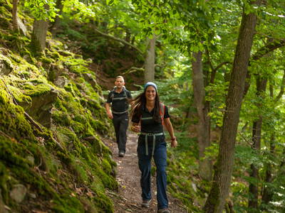 Bild 10 aus  Ferienhaus Blockhaus am Edersee