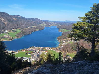 Bild 69 aus Schmiedbauer