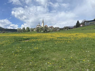 Bild 26 aus  Lacknerhof in Liebenfels- Familie Klocker