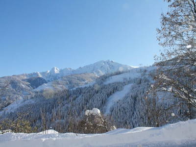 Bild 221 aus  Untererschbaum