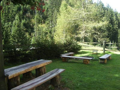 Bild 48 aus  Biobauernhof Windbachgut - Privatzimmer