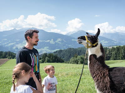 Bild 15 aus  Wichtelhütte