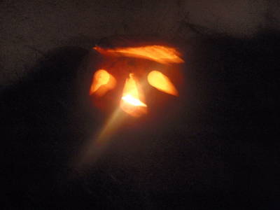 Bild 11 aus  Winzerhof Schönhofer