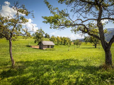Bild 10 aus  Klinglerbauer