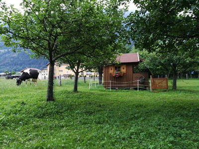 Bild 4 aus  Auszeithütte am Zittrauerhof
