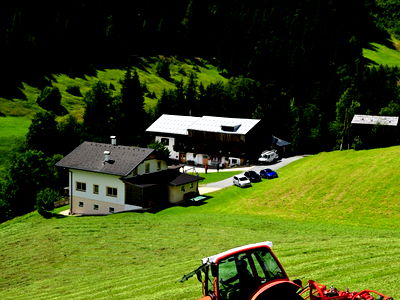 Bild 67 aus Bauernhof Pergila
