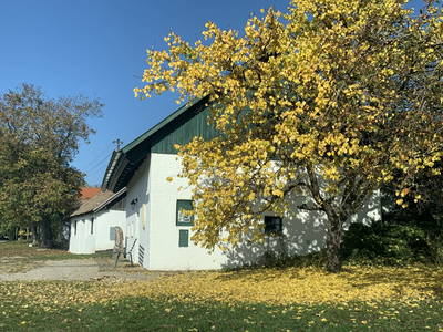 Bild 2 aus  Kellerferienhaus