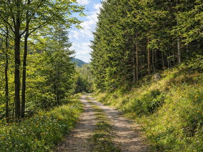 Bild 101 aus  Adelwöhrerhof