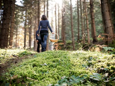 Bild 28 aus  Ferienwohnung Biohof Brandner