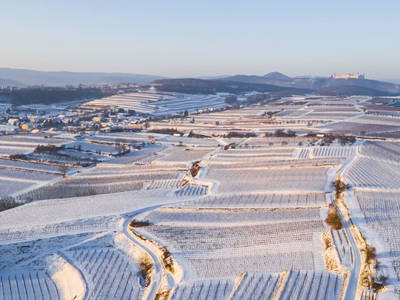 Bild 21 aus  Naturgartenurlaub - Steffis Ferienwohnungen