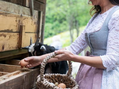 Bild 33 aus  Göttfriedbauer