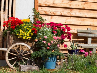 Bild 69 aus  Ranacherhof im Nationalpark der Hohen Tauern