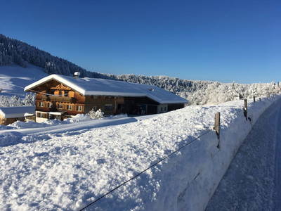 Bild 36 aus  Bauernhof Bilgeri