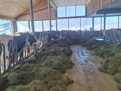 Bild 8 aus  Ferienhof Muxel