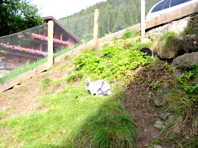 Bild 64 aus Alsten