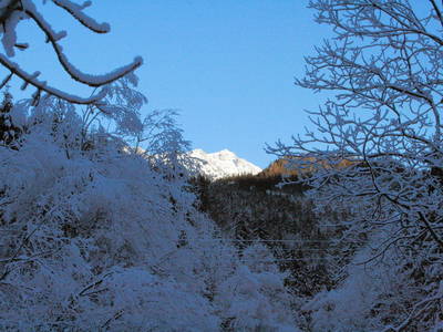 Bild 39 aus  Trialhof Schaureith