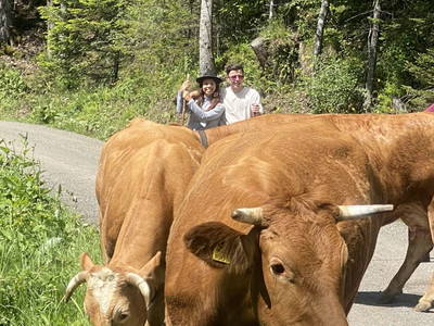 Bild 235 aus  Seewaldhof