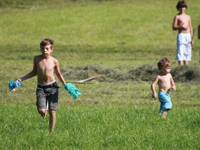 Bild 25 aus  Pension Pühringer