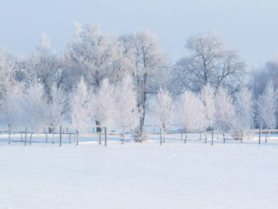 Bild 60 aus  Schönlehenhof