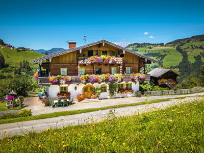 Bild 2 aus  Hallmoosgut