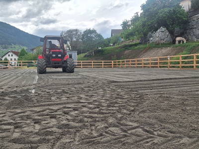 Bild 19 aus  Reiterhof Romanasa