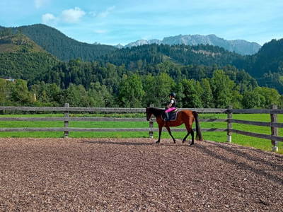 Bild 162 aus  Heisshof 