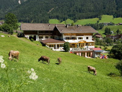 Bild 73 aus  Ladestatthof