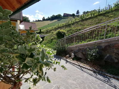 Bild 30 aus  Weingut Stoff