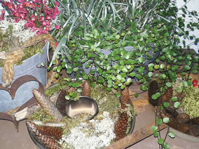 Bild 66 aus  Erlachhof