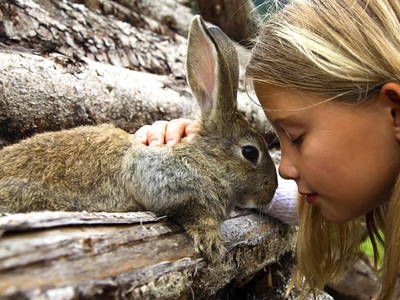 Bild 41 aus  Ausserwieserhof Kaser