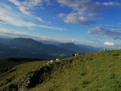 Bild 42 aus  Kirchenbichler
