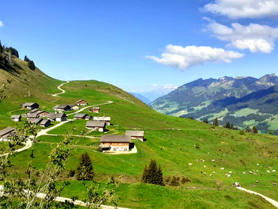 Bild 61 aus Berghof Burtscher