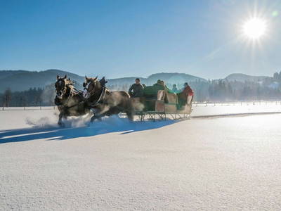 Bild 24 aus  Lamprechthof