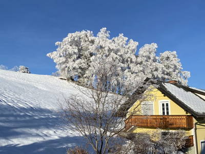 Bild 226 aus  Seewaldhof