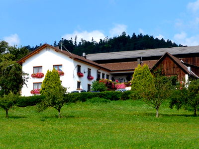 Bild 37 aus Blumentalhof