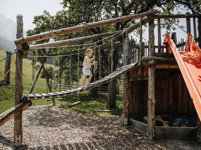 Bild 142 aus  Taxengut