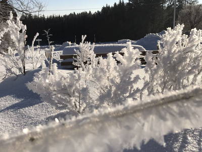 Bild 23 aus  Hacklhof